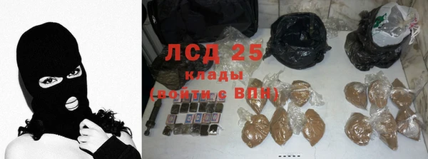гидра Белокуриха