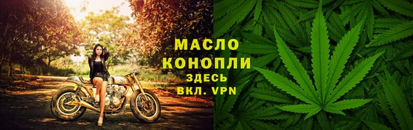 кокс Богородицк