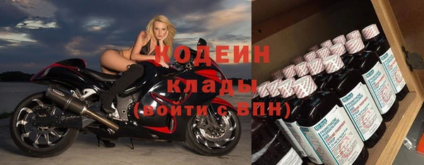 гидра Белокуриха