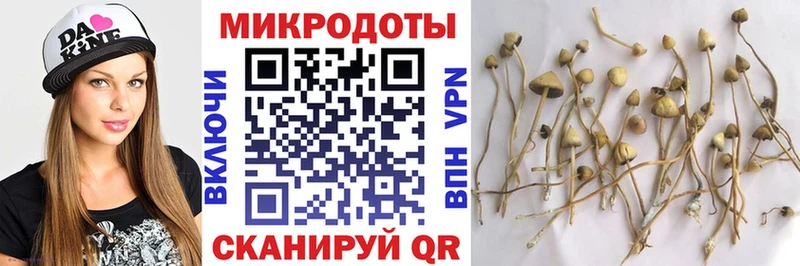 Купить  Жуковский  Галлюциногенные грибы мицелий 